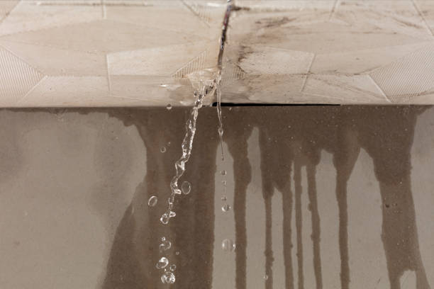 Professional Burst Pipe Cleanup technician working in Owensville, IN